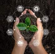 Brand Story | Climate-smart banking transforms African agriculture